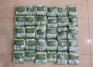 Polda Riau Gagalkan Penyelundupan 30 Kg Sabu di Pelabuhan Dumai