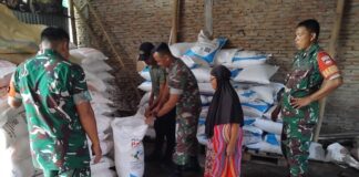 Babinsa Pastikan Ketersediaan Pupuk Cegah Kelangkaan