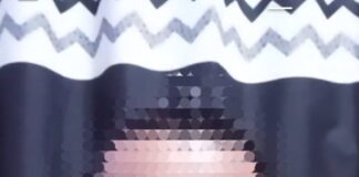 Pengacara Kontroversial Trinov Fernando Sianturi Kembali Tuai Kecaman, Pernyataan Dinilai Melampaui Batas!