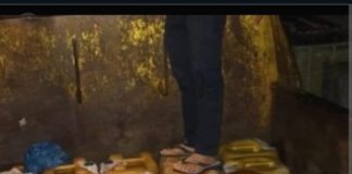 Diduga Jadi Gudang Solar Ilegal, Aktivitas Mencurigakan Terpantau di Desa Ngampon, Blora