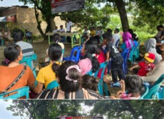 Dukung Ketahanan Pangan, Pemerintah Diminta Cepat Atasi Penyebaran Flu Babi