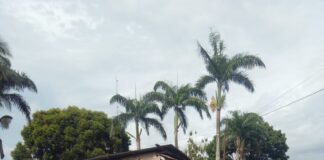 Satpol PP Pemkot Padangsidimpuan Sumut Membongkar Kios Masyarakat Kecil Karena Tidak Setoran