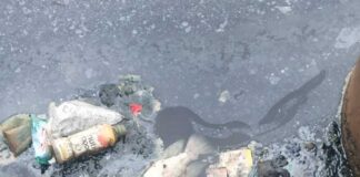 Pencemaran Situ Bahar Ancaman Serius Bagi Ekosistem dan Kehidupan Tanpa Kepastian Penanganan