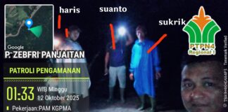 Dirut PTPN 4 Diminta Evaluasi Manajemen Gunung Pamela, Whistleblower Pencurian TBS Di-PHK