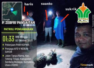 Dirut PTPN 4 Diminta Evaluasi Manajemen Gunung Pamela, Whistleblower Pencurian TBS Di-PHK