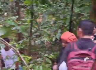 Bencana Longsor Hebat Melanda Sumatra Utara, Puluhan bahkan ratusan Korban Jiwa dan Akses Terputus