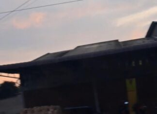 Dugaan Tangkap Lepas Bento Mencuat, Saksi Mata Ceritakan Kejadian Di Kedai Minum