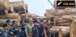 Ribuan Batang Kayu Ilegal Asal Sumbar Disita di Pelabuhan Gresik