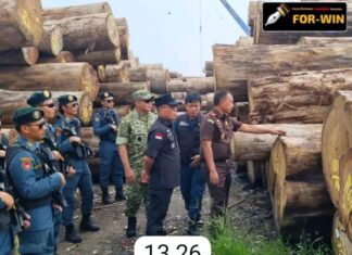 Ribuan Batang Kayu Ilegal Asal Sumbar Disita di Pelabuhan Gresik