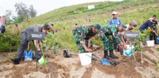 Hijaukan Lereng Merapi, TNI dan Forkopimda Boyolali Tanam Pohon Cegah Bencana