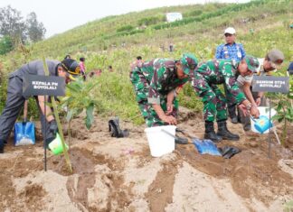 Hijaukan Lereng Merapi, TNI dan Forkopimda Boyolali Tanam Pohon Cegah Bencana