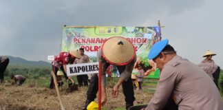 Cegah Longsor, Polres Demak Lakukan Penanaman 500 Pohon Jati di Karangawen