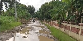 Jalan Raya Kalitengah Dukuh Ngingas RT 7 RW 4 Rusak Parah, Warga Harap Perbaikan Segera
