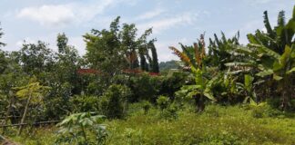 Diduga Masuk HGB Developer Bukit Bulusan, Warga Banyumanik 8 Tahun Gagal Sertifikatkan Tanah