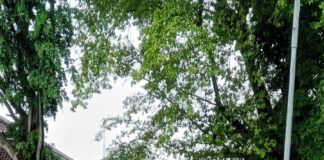 Pasukan Kuning DLH Kota Bogor Dapat Apresiasi dari KPP Bogor Raya