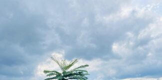 Ini Pandangan Hukum Dr Mohamad Rizki Terkait Penanganan Perkara Jambret di Polres Sleman