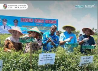 Bupati Genjot Program Unggulan Ketahanan Pangan, Deli Serdang Raih Prestasi Inflasi Terendah Per Januari 2026