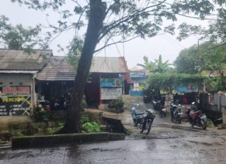 Warga Dekat Pinggiran Kali Grogol Mampang, Keluhkan Bangli dan Minta Walikota Tindak Tegas