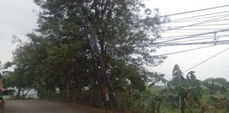 Bahaya! Tiang WiFi Miring di Jalan Raya Pilang Sari Desa batursari kecamatan Mranggen Mengancam Keselamatan Pelintas jalan