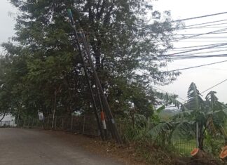 Bahaya! Tiang WiFi Miring di Jalan Raya Pilang Sari Desa batursari kecamatan Mranggen Mengancam Keselamatan Pelintas jalan