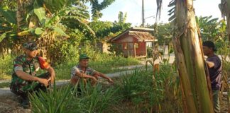 Dekat Dengan Petani, Babinsa Koramil Juwangi Perkuat Ketahanan Pangan
