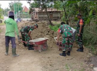 Babinsa Aktif Guyub Rukun Bantu Pengurukan Jalan Bersama Warga