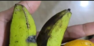 BaraNusa Akan Segera Laporkan Kepala BGN Dadan Hindayana ke Mabes Polri