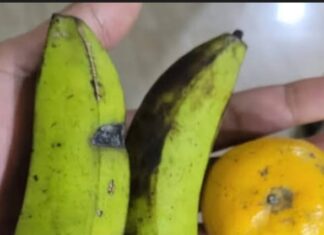 BaraNusa Akan Segera Laporkan Kepala BGN Dadan Hindayana ke Mabes Polri