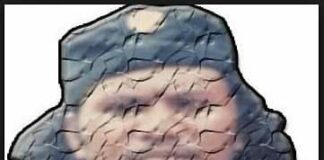 INDONESIA DALAM PUSARAN NASIONALISME SEMU ATAU REPRODUKSI KAPITALISME GLOBAL?