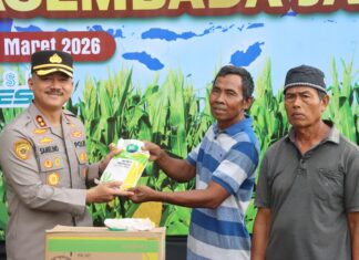 Kapolres Demak Pimpin Penanaman Jagung Serentak Bersama Petani di Wonosekar