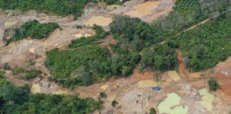 WALHI SUMUT Dukung Aparat Penegak Hukum Tindak Tegas Aktivitas Tambang Ilegal