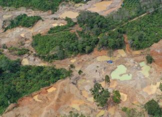 WALHI SUMUT Dukung Aparat Penegak Hukum Tindak Tegas Aktivitas Tambang Ilegal