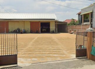 Pencemaran Lingkungan Akibat Usaha Selep Padi di Demak, Warga Mengeluh Bertahun-tahun