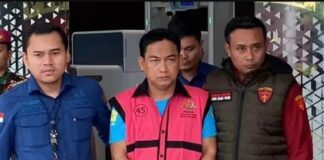 Baru Dilantik Ketua Ombudsman Ditangkap Kejagung