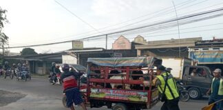 Sigap! Polisi di Karangawen Bantu Dorong Tossa Mogok Bermuatan Kambing