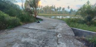 Satma AMPI Madina Soroti Penyaluran Dana Desa Tanpa Administrasi Lengkap