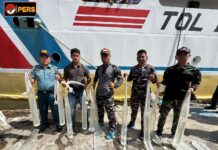 KM Sabuk Nusantara 106 Disatroni Petugas, 620 Liter Miras Tradisional Gagal Beredar