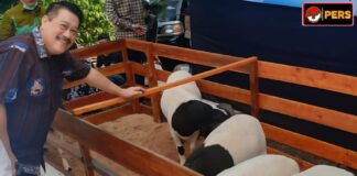 Momentum Idul Adha, UPZ IKA Unpad Tebar Daging Domba Premium Untuk Masyarakat