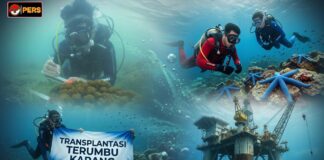 Lewat Program Jaga Pesisir Kita dan Rig to Reef, PHI Dorong Keberlanjutan Lingkungan Bawah Laut Regional Kalimantan